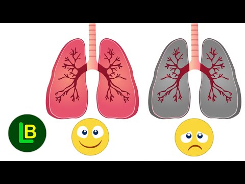 MAKE YOUR LUNGS HAPPY - How long does it take to clear your lungs?