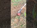 स्थिल ब्रस कटर अटेचमेंट Transform Your Gardening Experience with Brush Cutter Cultivator Attachment