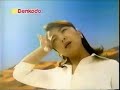 デンコードーCM 原日出子