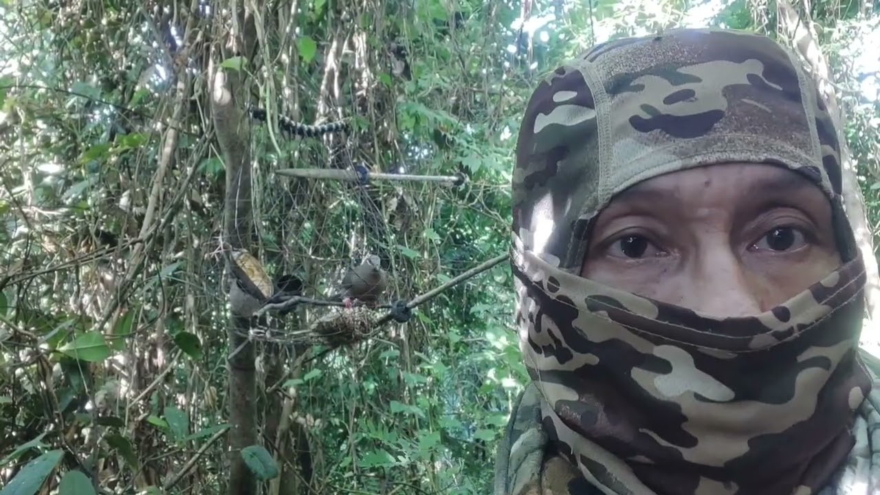 Pangatlong sabak sagubat ni Tulongis