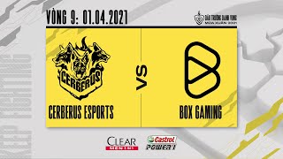 Cerberus Esports vs Box Gaming - Vòng 9 [01.04.2021] | ĐTDV mùa Xuân 2021