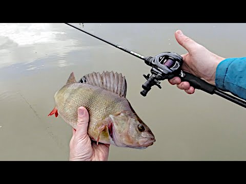 Best rod for perch fishing? PureLure Zero tested 