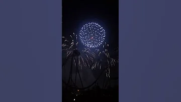 Fireworks Display #shorts #fireworks