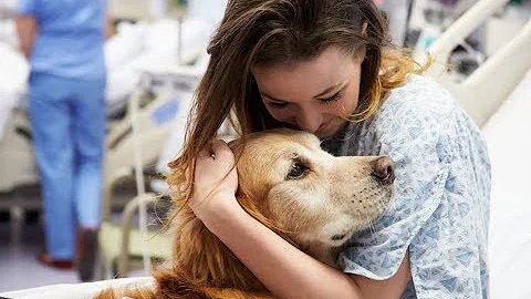 動物感動話