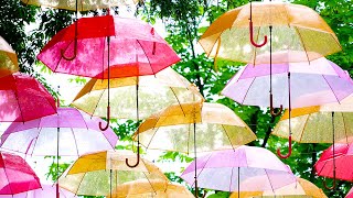 ムーミンの森に色とりどりの傘の川　埼玉・飯能