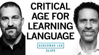 Is There a Critical Age or Period for Learning Languages? | Dr. Erich Jarvis \& Dr. Andrew Huberman