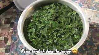 Cara merebus daun ketum mudah secara tradisional untuk kesihatan (tutorial)