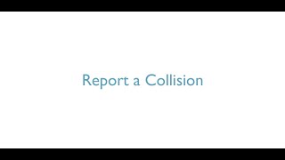 How to report a collision on the Global Bird Collision Mapper (on a browser) screenshot 3