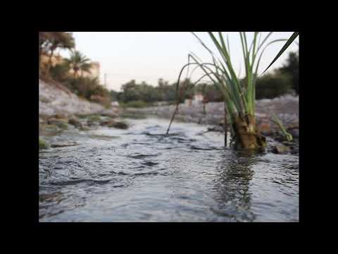 رسالة الرسول إلى ملكي ع مان جيفر وعبد ابني الجلندى