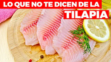 ¿Es seguro comer tilapia de piscifactoría?