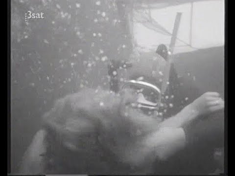 Bikini girl on sailboat gets attacked by diver