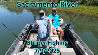 Sacramento River Striper Fishing 7/9/2025
