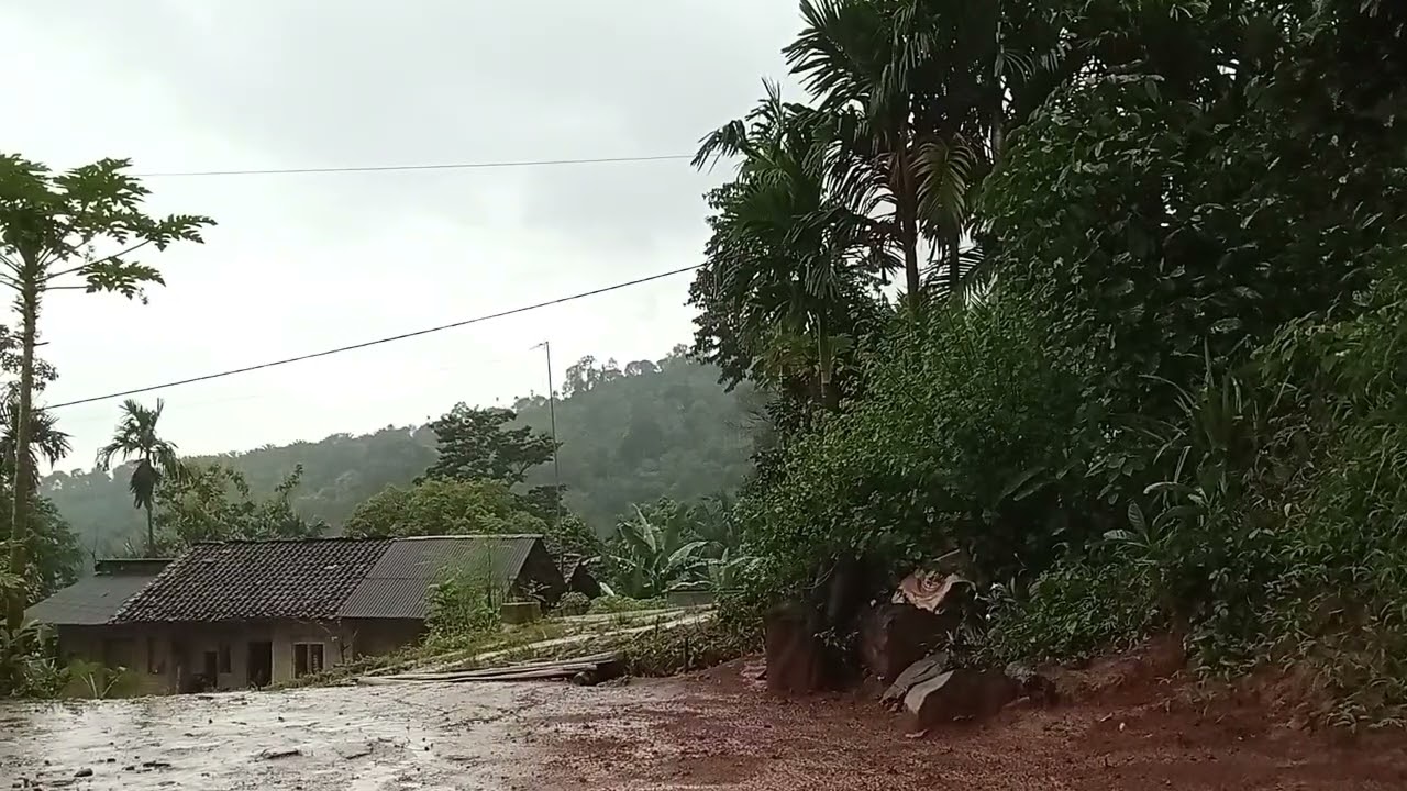Suasana perkampungan diguyur hujan diselimuti kabut