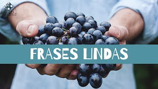 Frases Lindas