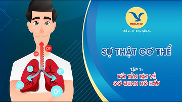 Tất Tần Tật Về Cơ Quan Hô Hấp | SỰ THẬT CƠ THỂ | MEDLATEC
