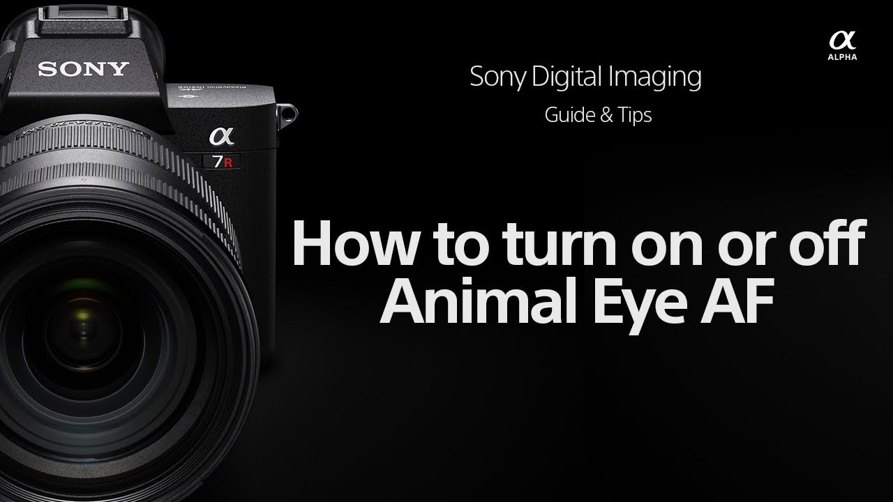 Sony | How To's | How to turn Animal Eye AF on/off | Sony Alpha camera