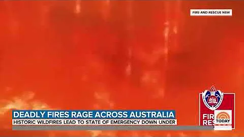 Australia Wildfires Rage on Amid Effort To Save Koalas,Kangaroos