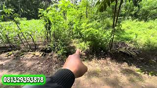 Download Lagu Tanah pekarangan harga 47 juta surat sudah sertifikat MP3