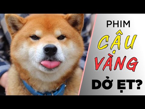 Phim CẬU VÀNG dở ẹt ? [Dưa Leo DBTT]