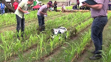 Field Robot Event 2015, DTUnicorn (overall Silver)