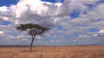 packet loss vs compression