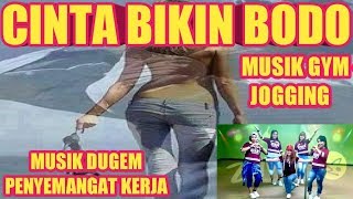 Download Lagu DJ CINTA BIKIN BODOH - MUSIK GYM - JOGGING - DUGEM - PENYEMANGAT KERJA MP3