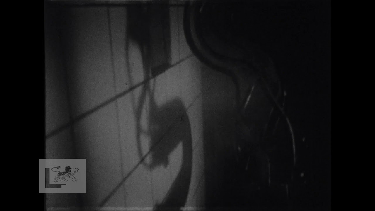 Dat is 't condensfabriek, 1950