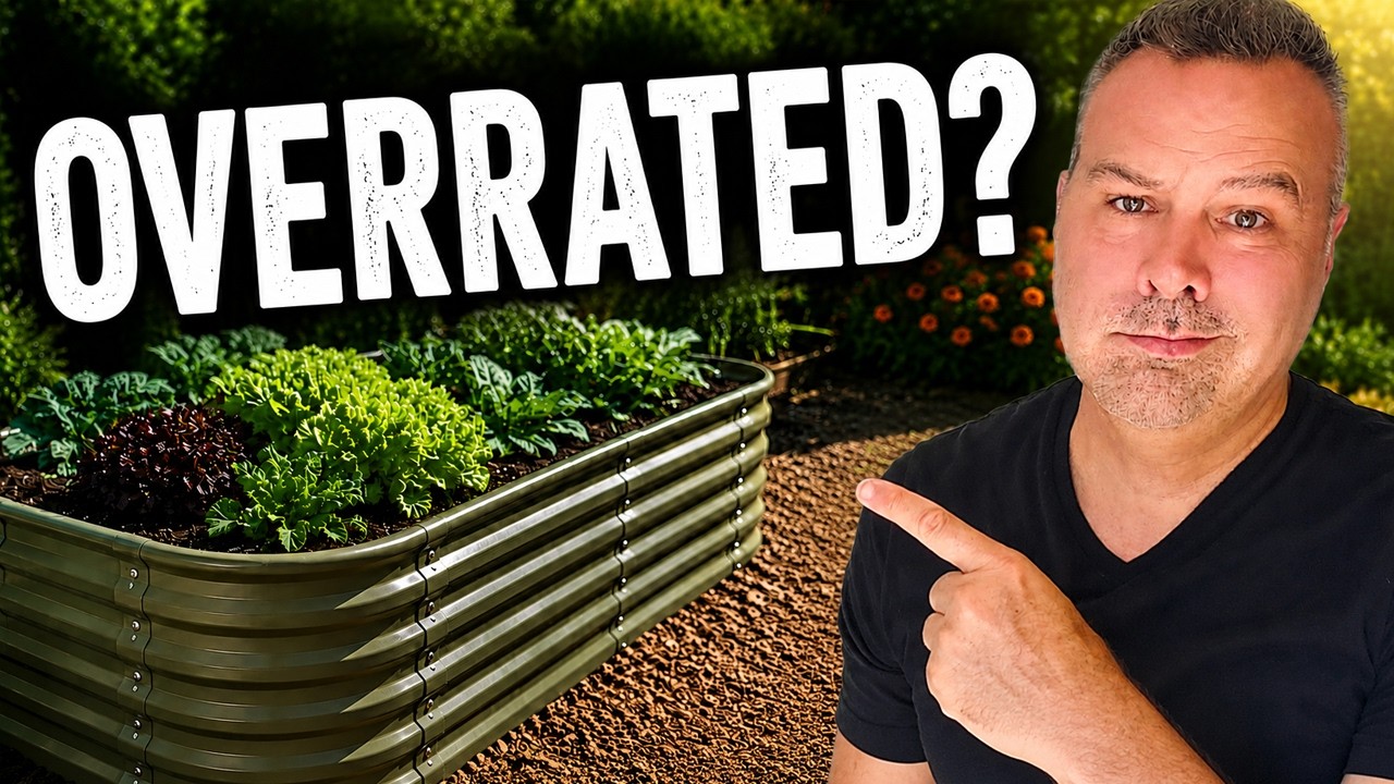 Stop Believing the Raised Bed Hype