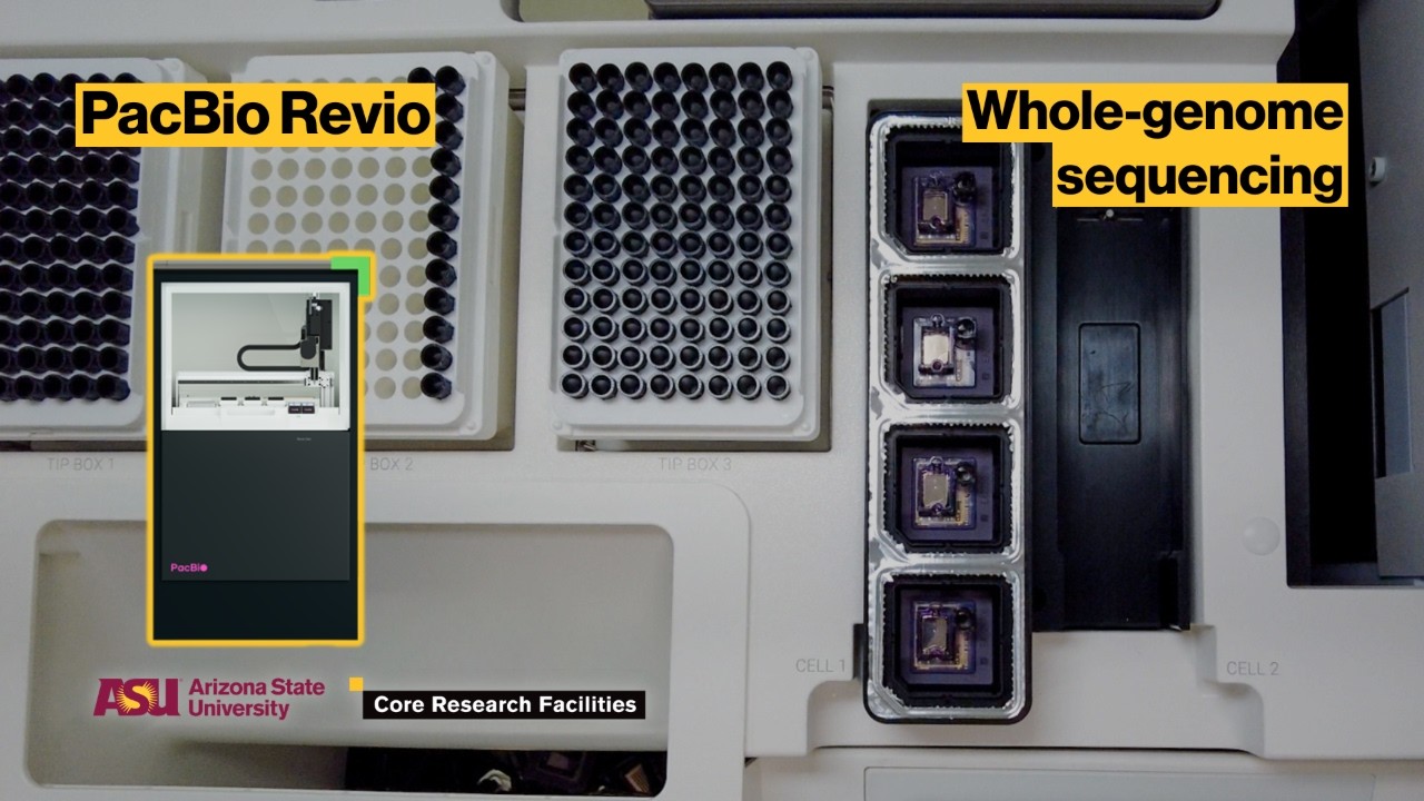 ASU Core Facilities Equipment Showcase: PacBio Revio whole-genome ...