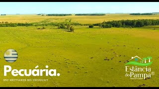 ESTÂNCIA À VENDA NO URUGUAY COM 950 HA FAZENDA À VENDA