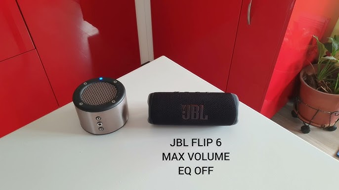 Is this flip 6 fake or real? : r/JBL