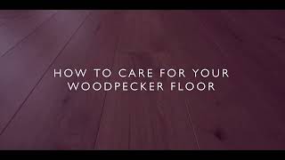 How To Look After Your Woodpecker Wood Flooring By Easy Floor Store