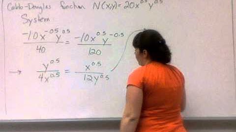 242 Lagrange Multipliers - Cobb Douglas Function