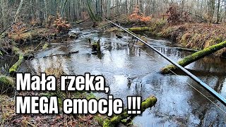 Styczniowe łowy na pstrągi: Mała rzeka, MEGA EMOCJE !!!