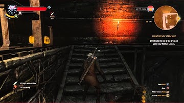 The Witcher 3: Wild Hunt - Count Reuven