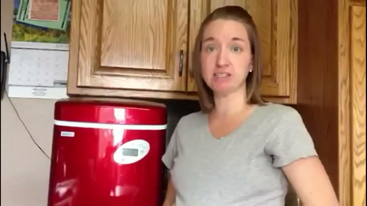 Review NewAir Portable Ice Maker 50 lb. Daily, 12 Cubes in Under 7