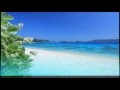 【作業・癒しBGM】波の音とハワイアンミュージック　Hawaiian Music Surf Song