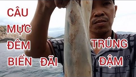 Khám Phá Bãi Thùng , Vịnh Vĩnh Huy , Bình Tiên , Câu Mực Cái , Mực Óng , Mực Thướt.