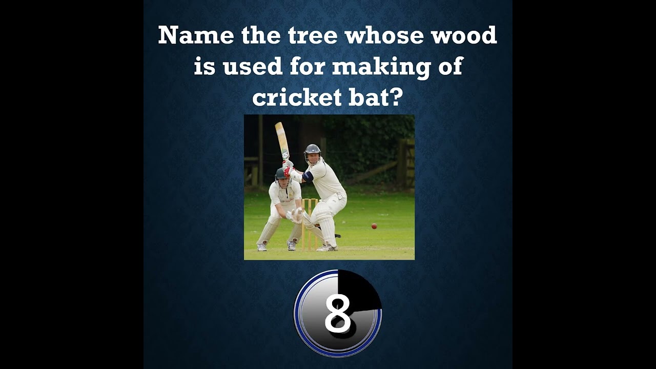 Name the tree whose wood is used for making of cricket bat? YouTube