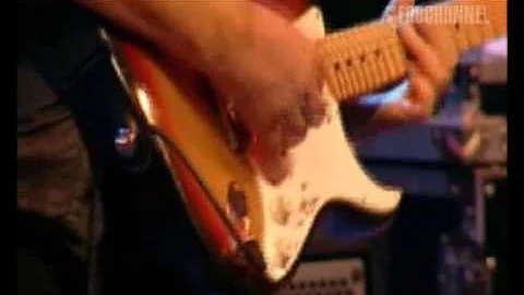 Walter Trout Band (Live at Paradiso): When you lov...