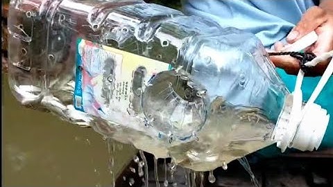 Đặc cá linh non miền tây | T.50