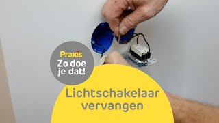 Machtig Nadeel natuurpark Hoe vervang ik een lichtschakelaar? | Stappenplan