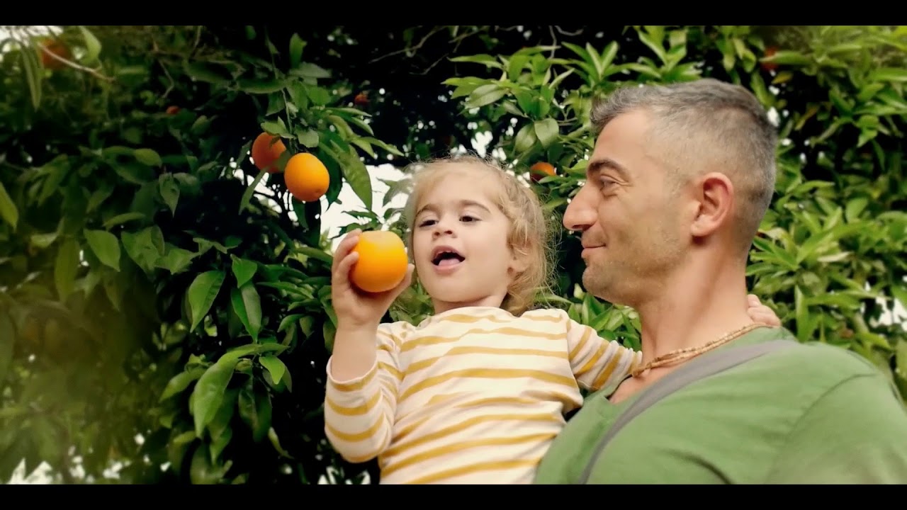 Too Good To Go - Join the Food Waste Revolution (FR) - YouTube