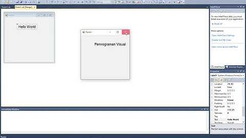 PERTEMUAN PERTAMA - Praktikum Pemrograman Visual