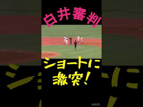 【白井一行審判員】　ショート宜保翔選手に激突・転倒の瞬間　オリックスバファローズ　横浜DeNAベイスターズ　2024年3月3日　京セラドーム大阪　塁審　アンパイア