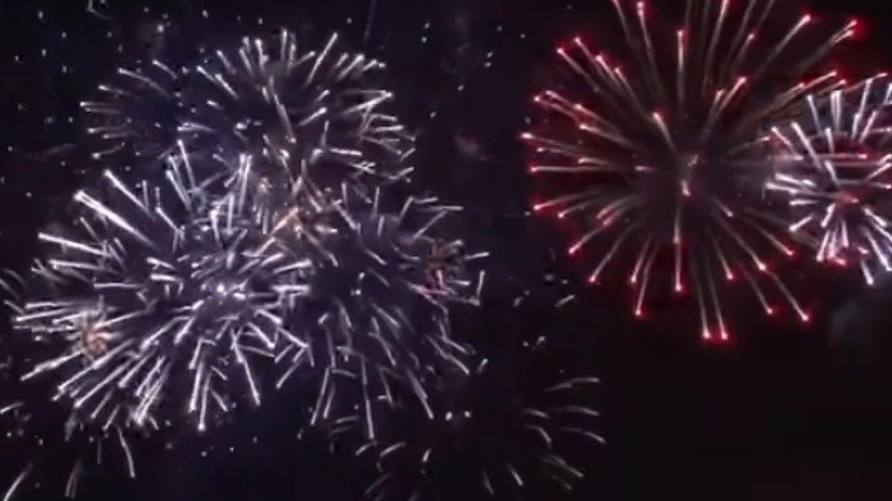 Watch back: Bastille Day fireworks in Paris