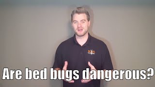 Are bed bugs dangerous?