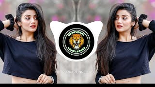 DHINGANA GHALTI || BANJO MIX || ITS ROHIT REMIXY || INDAPURKAR UNRELEASED 