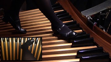 Alternate Black Key Glissando