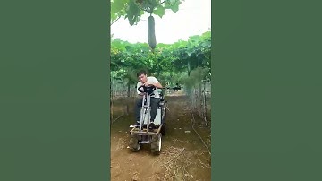 In the process of pesticide application of vegetables, good machinery can improve efficiency